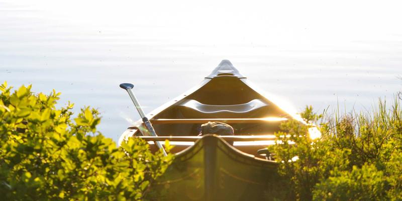 Returning Guest – 20% Loyalty Discount