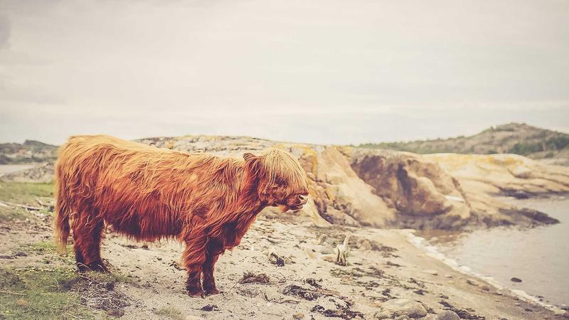 Madinah Smart City Project Enhances Pilgrim Experience