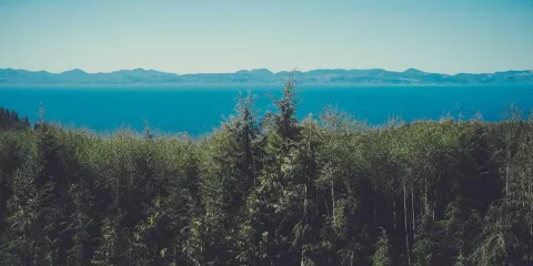 Riyadh - Saudi Arabia