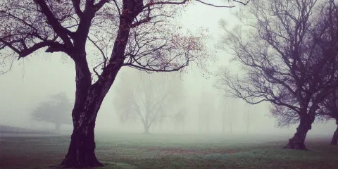 Madinah - Saudi Arabia