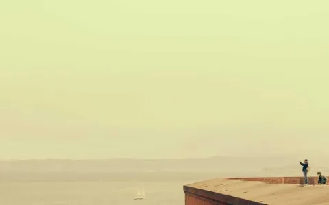 MDL Beast Soundstorm - Photo 2