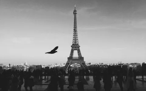 Habitas AlUla - Photo 3