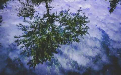 Hilton Jeddah Corniche - Photo 2