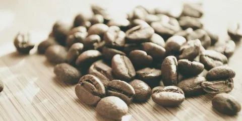 The Globe Restaurant