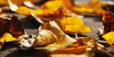 Makkah Spiritual Guided Tour