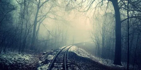 Riyadh Food & Souq Night Tour