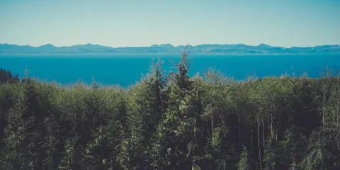 Hegra Ancient City Tour