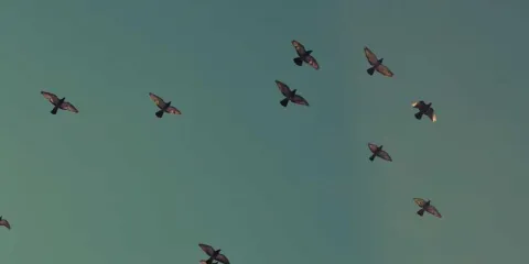 Riyadh Airport Sedan Transfer