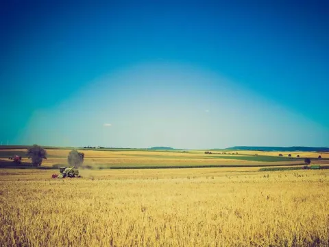 Saudi Transit Visa (Stopover)